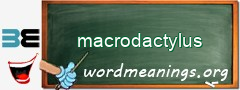 WordMeaning blackboard for macrodactylus